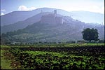 a view of Assissi bathed in a morning mist